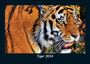Tobias Becker: Tiger 2024 Fotokalender DIN A5, KAL