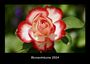 Tobias Becker: Blumenträume 2024 Fotokalender DIN A3, KAL