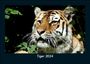 Tobias Becker: Tiger 2024 Fotokalender DIN A5, KAL