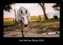 Tobias Becker: Die Welt der Pferde 2024 Fotokalender DIN A3, KAL