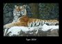Tobias Becker: Tiger 2024 Fotokalender DIN A3, KAL