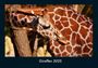 Tobias Becker: Giraffen 2025 Fotokalender DIN A4, KAL