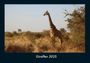 Tobias Becker: Giraffen 2025 Fotokalender DIN A4, KAL