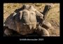 Tobias Becker: Schildkrötenzauber 2025 Fotokalender DIN A3, KAL