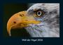 Kevin Heber: Welt der Vögel 2026 Fotokalender DIN A4, KAL