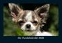 Kevin Heber: Der Hundekalender 2026 Fotokalender DIN A5, KAL