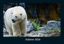 Tobias Becker: Eisbären 2026 Fotokalender DIN A4, KAL