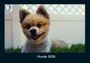 Tobias Becker: Schmitt, T: Hunde 2026 Fotokalender DIN A4, KAL