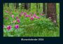 Tobias Becker: Blumenkalender 2026 Fotokalender DIN A4, KAL