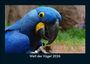 Tobias Becker: Welt der Vögel 2026 Fotokalender DIN A5, KAL