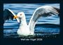Tobias Becker: Welt der Vögel 2026 Fotokalender DIN A5, KAL