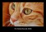 Tobias Becker: Für Katzenfreunde 2026 Fotokalender DIN A3, KAL
