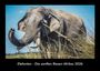 Tobias Becker: Elefanten - Die sanften Riesen Afrikas 2026 Fotokalender DIN A3, KAL