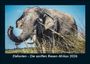 Tobias Becker: Elefanten - Die sanften Riesen Afrikas 2026 Fotokalender DIN A5, KAL