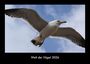 Kevin Heber: Welt der Vögel 2026 Fotokalender DIN A3, KAL
