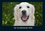 Tobias Becker: Der Hundekalender 2026 Fotokalender DIN A4, KAL