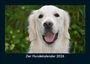 Tobias Becker: Der Hundekalender 2026 Fotokalender DIN A5, KAL
