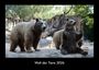 Kevin Heber: Welt der Tiere 2026 Fotokalender DIN A3, KAL