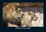 Kevin Heber: Welt der Tiere 2026 Fotokalender DIN A5, KAL
