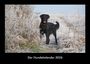 Tobias Becker: Der Hundekalender 2026 Fotokalender DIN A3, KAL