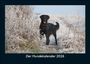 Tobias Becker: Der Hundekalender 2026 Fotokalender DIN A5, KAL