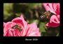 Tobias Becker: Bienen 2026 Fotokalender DIN A3, KAL