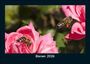 Tobias Becker: Bienen 2026 Fotokalender DIN A5, KAL