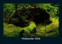 Tobias Becker: Waldzauber 2026 Fotokalender DIN A5, KAL