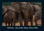 Tobias Becker: Elefanten - Die sanften Riesen Afrikas 2026 Fotokalender DIN A4, KAL