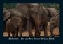 Tobias Becker: Elefanten - Die sanften Riesen Afrikas 2026 Fotokalender DIN A5, KAL