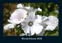Tobias Becker: Blumenträume 2026 Fotokalender DIN A4, KAL