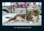 Kevin Heber: Für Katzenfreunde 2026 Fotokalender DIN A4, KAL