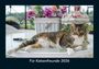 Kevin Heber: Für Katzenfreunde 2026 Fotokalender DIN A5, KAL