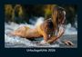 Kevin Heber: Urlaubsgefühle 2026 Fotokalender DIN A5, KAL