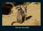 Kevin Heber: Welt der Tiere 2026 Fotokalender DIN A4, KAL