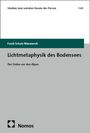 Frank Schulz-Nieswandt: Lichtmetaphysik des Bodensees, Buch