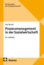 Paul Brandl: Prozessmanagement in der Sozialwirtschaft, Buch