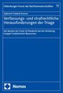 Tjaberich Frederik Kramer: Verfassungs- und strafrechtliche Herausforderungen der Triage, Buch