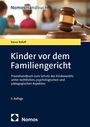 Kinder vor dem Familiengericht. Praxishandbuch zum Schutz des Kindeswohls. Abgebildet ist ein Richterhammer.