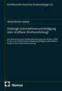 "Zulässige Unternehmensverteidigung oder strafbare Strafvereitelung?" von Walid Khalid Seddiqi. Cover mit dunklem Hintergrund.
