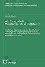 Titel: Wie fördert die EU Menschenrechte in Drittstaaten. Autor: Dennis Traudt. Verlag: Nomos. Grünes Cover.