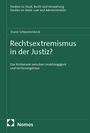 David Schwarzenböck: Rechtsextremismus in der Justiz?, Buch