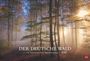 : Der deutsche Wald - Ein literarischer Spaziergang Kalender 2025 - Ein literarischer Spaziergang, KAL