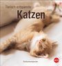 : Tierisch entspannte Katzen Postkartenkalender 2025, KAL