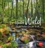 : Unser Wald Postkartenkalender 2025 - zauberhafter Ort der Kraft, KAL