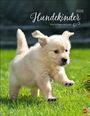 : Hundekinder Posterkalender 2026, KAL