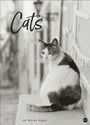 : Cats Edition Kalender 2026, KAL