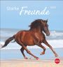 "Starke Freunde 2027. Postkartenkalender." Ein braunes Pferd galoppiert dynamisch am Strand entlang.