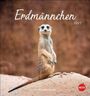 Text: „Erdmännchen 2027“, „Postkartenkalender“. Ein Erdmännchen steht aufrecht auf einem Erdwall, im Hintergrund brauner Sand.