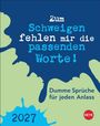 „Zum Schweigen fehlen mir die passenden Worte! Dumme Sprüche für jeden Anlass 2027.“ Verspieltes Design mit Farbklecksen.